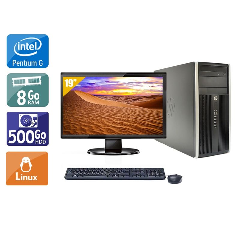 HP Compaq Pro 6200 Tower Pentium G Dual Core avec Écran 19 pouces 8Go RAM 500Go HDD Linux