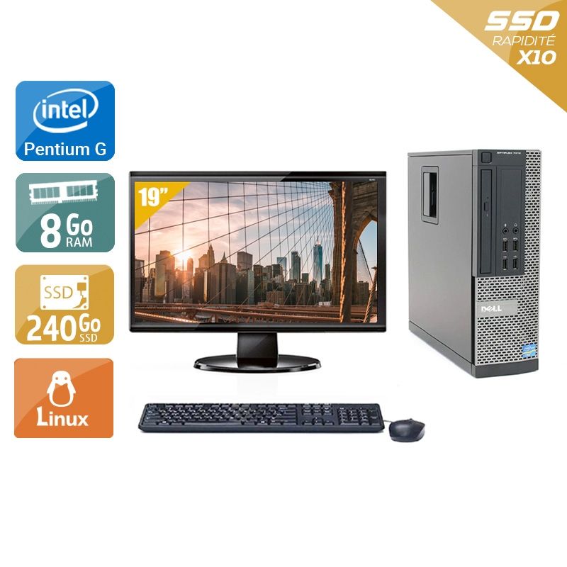 Dell Optiplex 7010 SFF Pentium G Dual Core avec Écran 19 pouces 8Go RAM 240Go SSD Linux