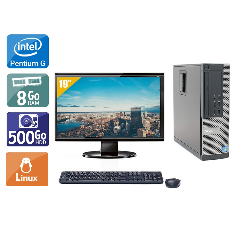 Dell Optiplex 790 SFF Pentium G Dual Core avec Écran 19 pouces 8Go RAM 500Go HDD Linux