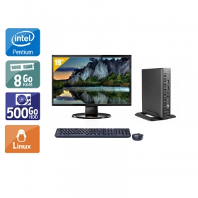HP EliteDesk 800 G1 TINY Pentium G Dual Core avec Écran 19 pouces 8Go RAM 500Go HDD Linux