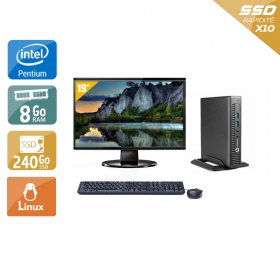 HP EliteDesk 800 G1 TINY Pentium G Dual Core avec Écran 19 pouces 8Go RAM 240Go SSD Linux