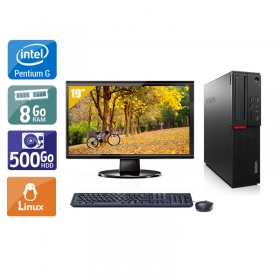 Lenovo ThinkCentre M700 SFF Pentium G Dual Core Gen 6 avec Écran 19 pouces 8Go RAM 500Go HDD Linux